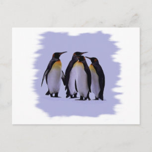 Cartão Postal Quatro pinguins