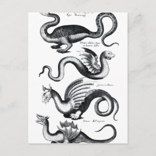 Cartão Postal Quatro tipos de dragão