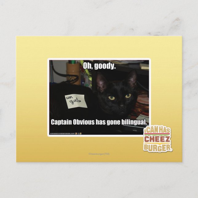 Cartão Postal Que bom. (Frente)