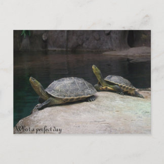 Cartão Postal Que dia perfeito