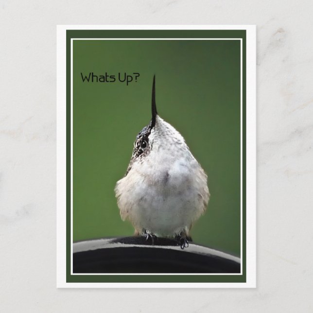 Cartão Postal Que está acima? Com texto (Frente)