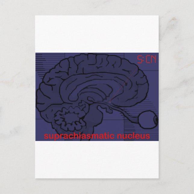 Cartão Postal Que horas são? Perguntar meu SCN (Frente)