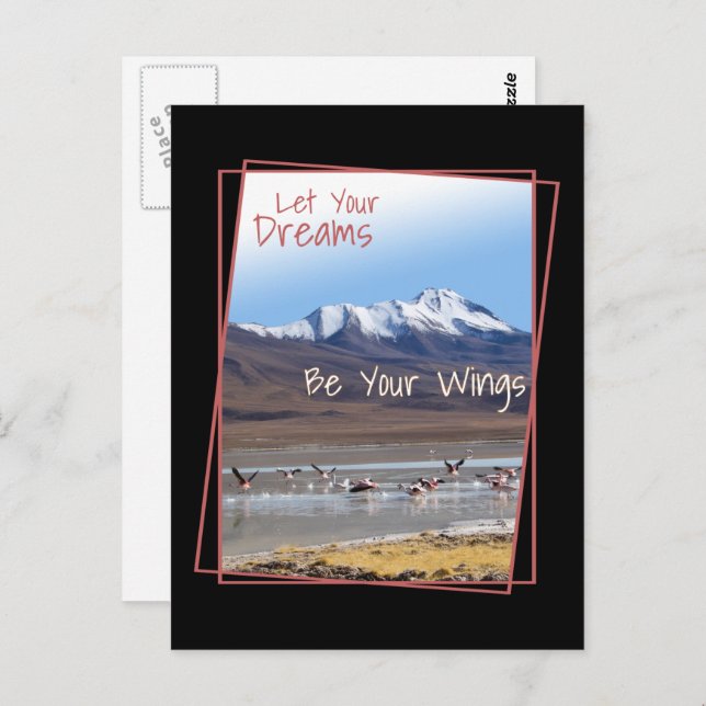 Cartão Postal Que Seus Sonhos Sejam Suas Asas Rosa Flamingos (Frente/Verso)