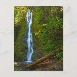 Cartão Postal Quebra d'água com cartão-postal na floresta