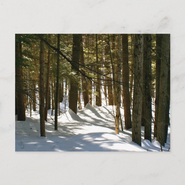 Cartão Postal Quechee, VT (Frente)