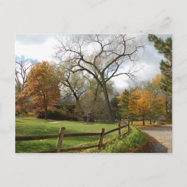 Cartão Postal Queda (Frente)