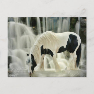 Cartão Postal queda,cavalo,rio,bela vista