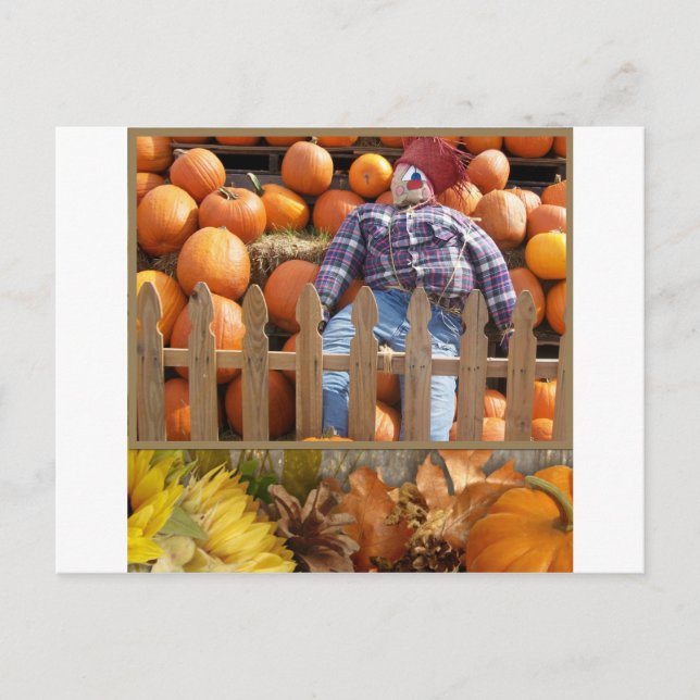 Cartão Postal Queda Centro-Oeste (Frente)