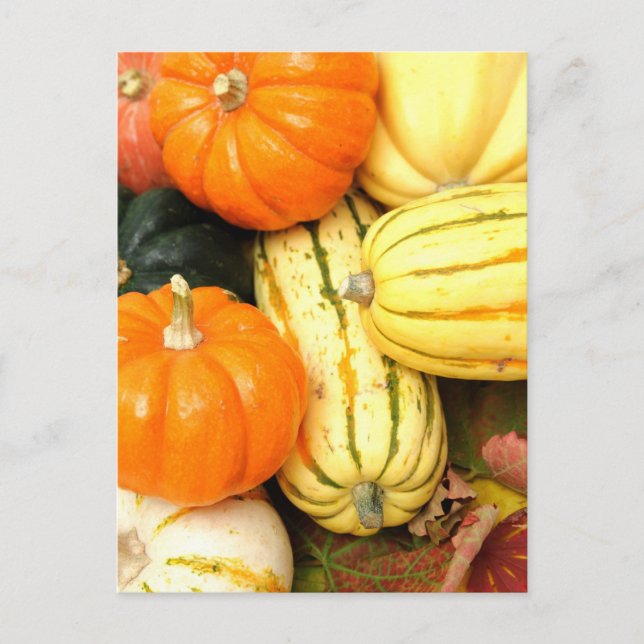 Cartão Postal Queda de vegetais (Frente)