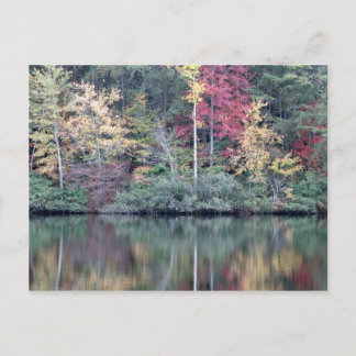 Cartão Postal Queda em Oneida, TN