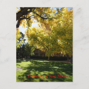 Cartão Postal Queda no Campus I