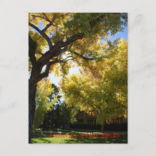 Cartão Postal Queda no Campus II (Frente)