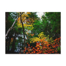 Queda no Inglaterra-cartão novo