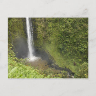 Cartão Postal Quedas de Akaka, Costa de Hamakua, Ilha do Havaí,
