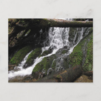 Cartão Postal Quedas no Parque Estadual de Sequoia
