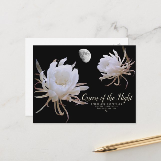 Cartão Postal Queen of the Night ポストカード (Frente/Verso In Situ)
