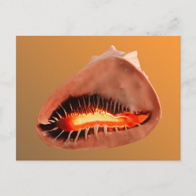 Cartão Postal Queens Helmet (Frente)