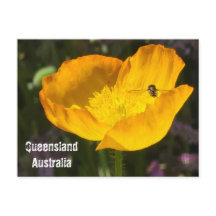 Queensland Austrália - Flor & Abelha Cartão-Postal