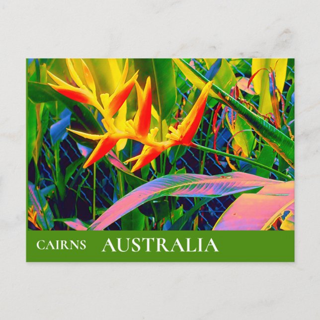 Cartão Postal Queensland tropical Austrália viagem antiga (Frente)