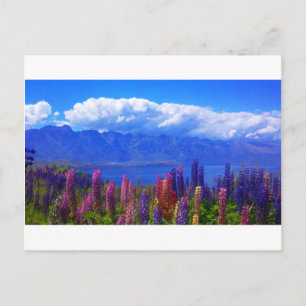 Cartão Postal Queenstown New Zealand lupine over Lake Wakatipu