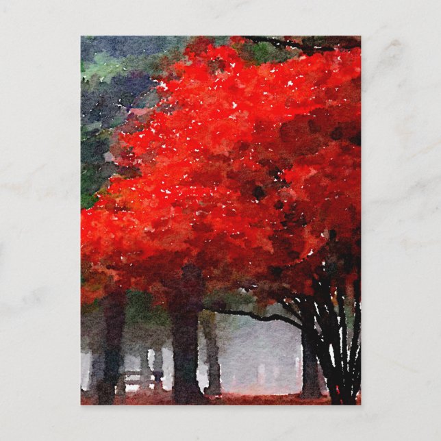 Cartão Postal Queimando outono (Frente)
