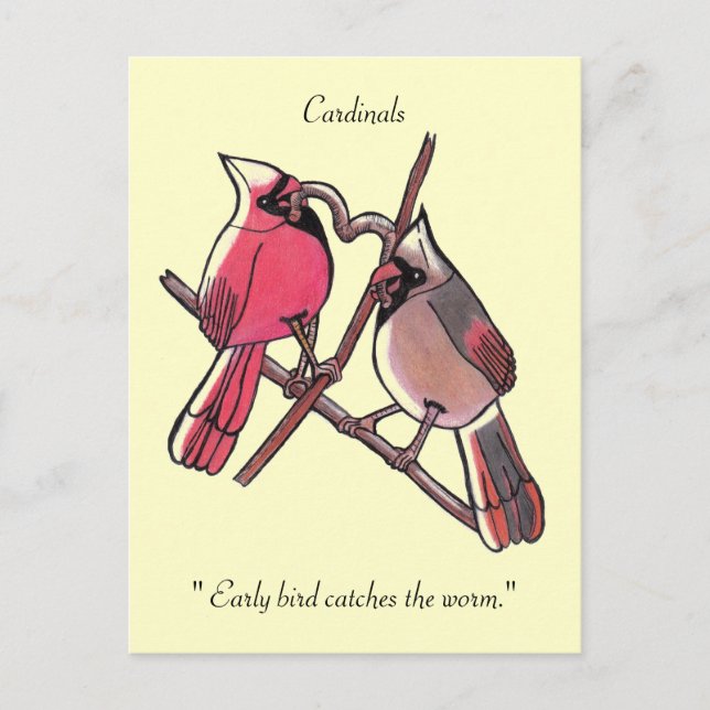 Cartão Postal " Quem chega primeiro, tem mais chances de ser bem (Frente)