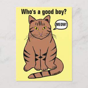 Cartão Postal Quem é um Bom Menino? Gato Marrom Atigrado Engraça