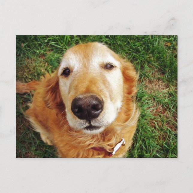 Cartão Postal Quem é um bom rapaz? (Frente)