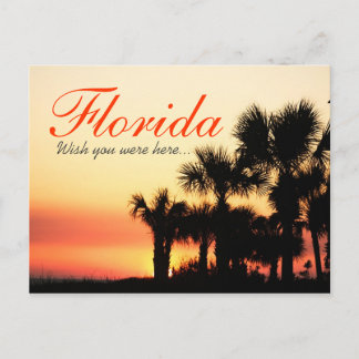 Cartão Postal Quem me dera estar aqui - pôr do sol da palmeira d