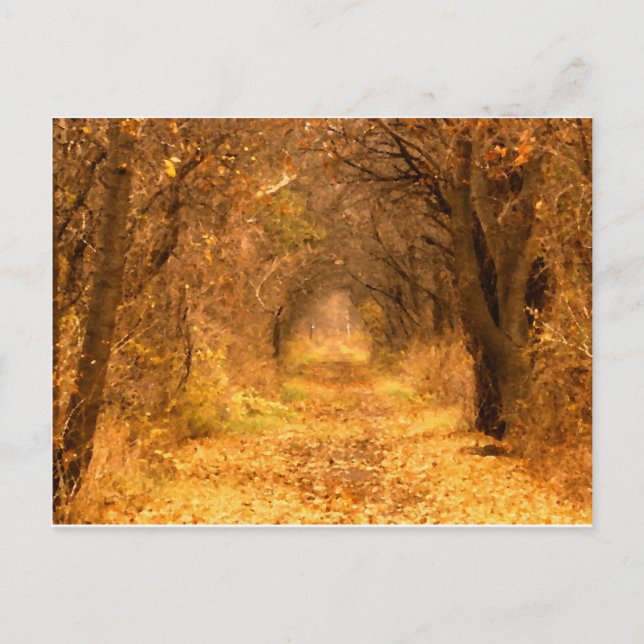 Cartão Postal Quem Sabe Onde O Caminho Conduz? (Frente)