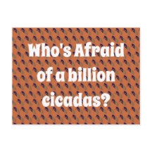 Quem tem medo de um bilhão de Cicadas?