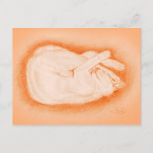 Cartão Postal Quente como um Firefly