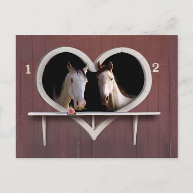 Cartão Postal Quer Cavalo? (Frente)