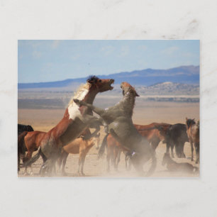 Cartão Postal Quer Um Pedaço De Mim?