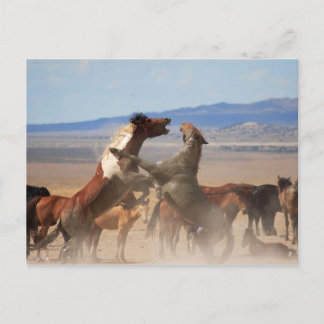 Cartão Postal Quer Um Pedaço De Mim?