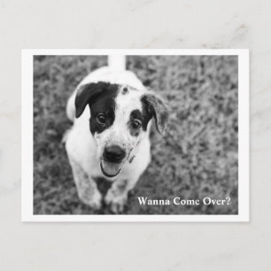 Cartão Postal Quer Vir?