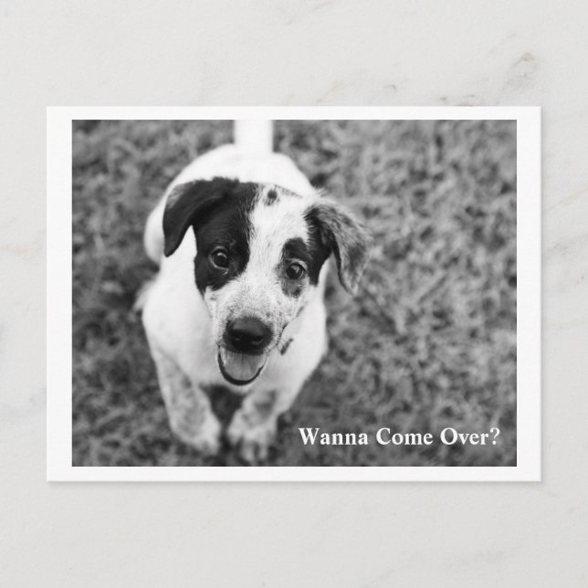 Cartão Postal Quer Vir? (Frente)