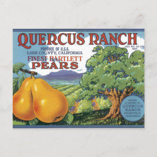 Cartão Postal Quercus Ranch Bartlett Pears