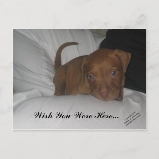 Cartão Postal Queria Que Estivesse Aqui...