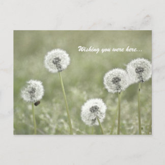 Cartão Postal Queria que estivesse aqui...