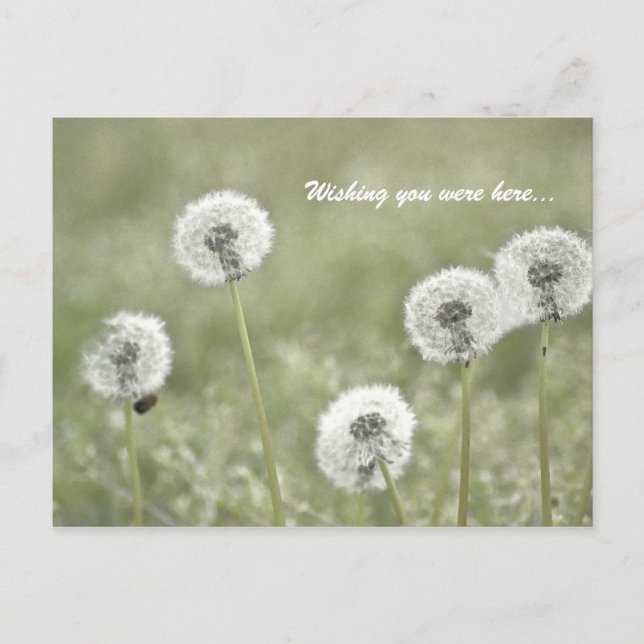 Cartão Postal Queria que estivesse aqui... (Frente)