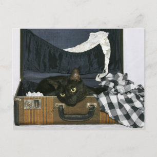 Cartão Postal Queria que você estivesse aqui