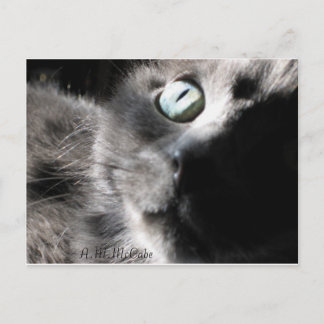 Cartão Postal "Querida"