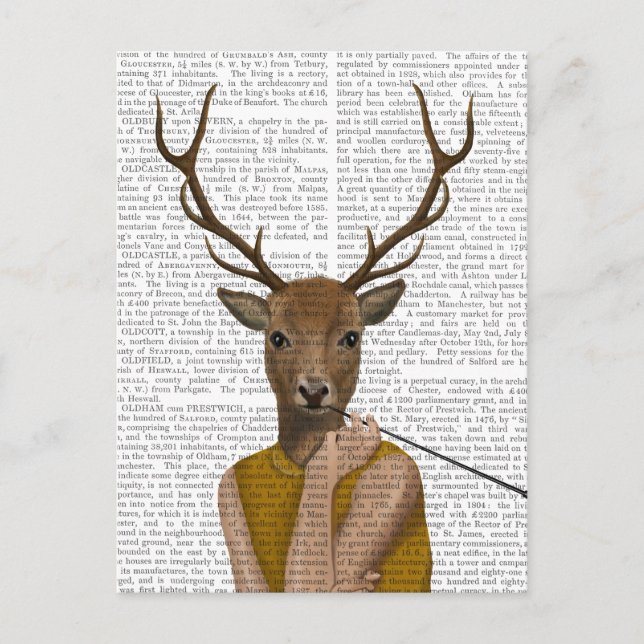 Cartão Postal Querido Audrey (Frente)