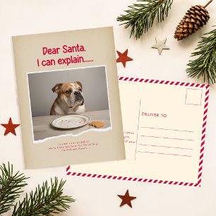 Cartão Postal Querido Papai Noel Posso Explicar Foto do Cachorro