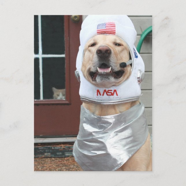 Cartão Postal Quero tirar fotos (Frente)