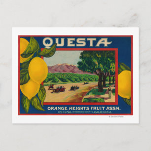 Cartão Postal Questa Lemon LabelCorona, CA