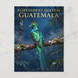 Cartão Postal 🐦 Quetzal Resplandecente Floresta Nublada da Guat