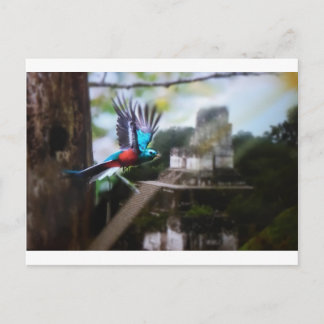 Cartão Postal Quetzel em Tikal