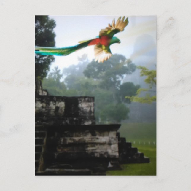 Cartão Postal Quetzel em Tikal (Frente)